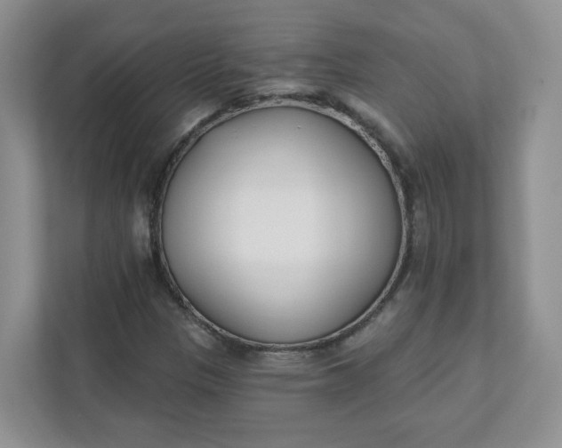 X0000111891305200908061326