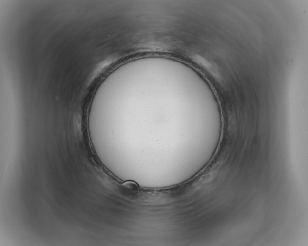 X0000111891307200908061326