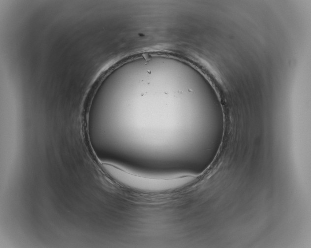 X0000111891308200908061326