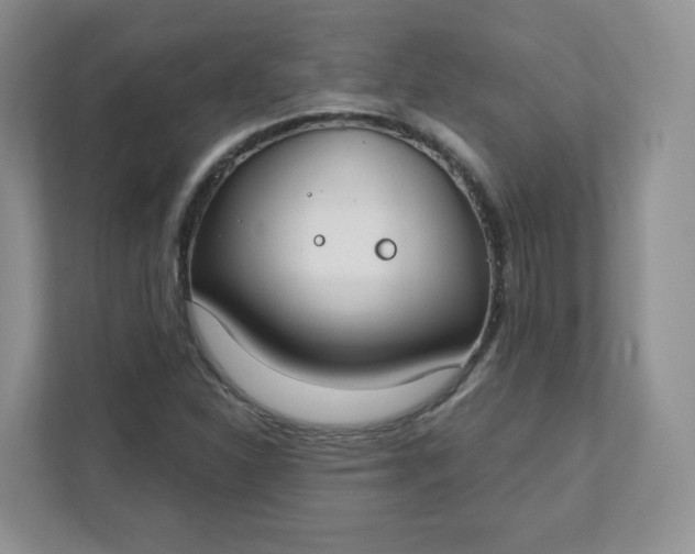 X0000111891310200908061326