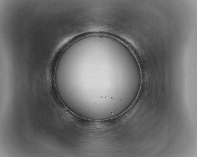 X0000111891311200908061326