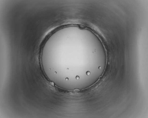 X0000111891312200908061326