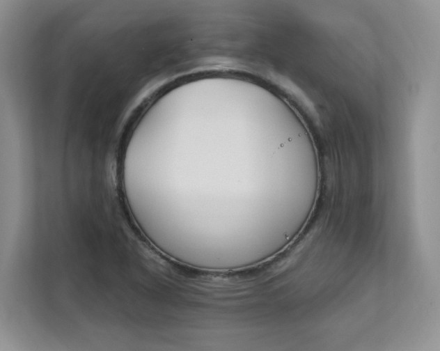 X0000111891318200908061326