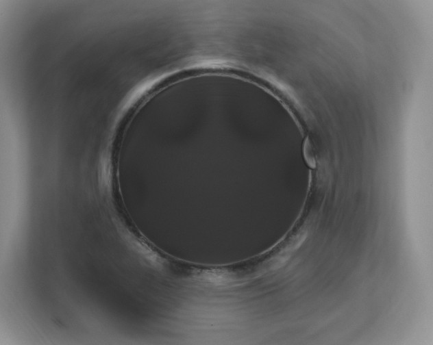 X0000111891319200908061326