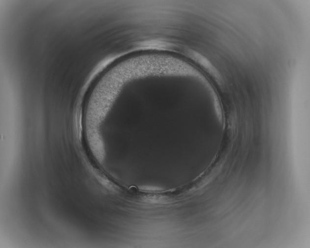 X0000111891323200908061326