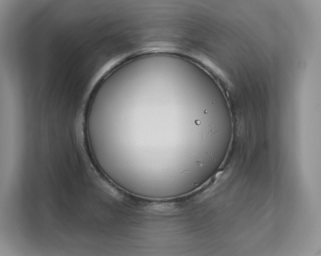 X0000111891325200908061326