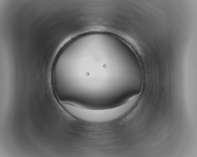 X0000111891326200908061326