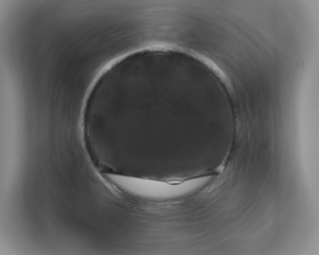 X0000111891327200908061326