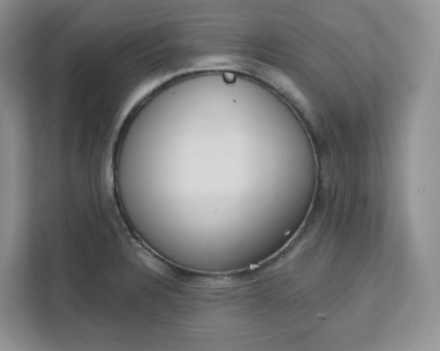 X0000111891328200908061326