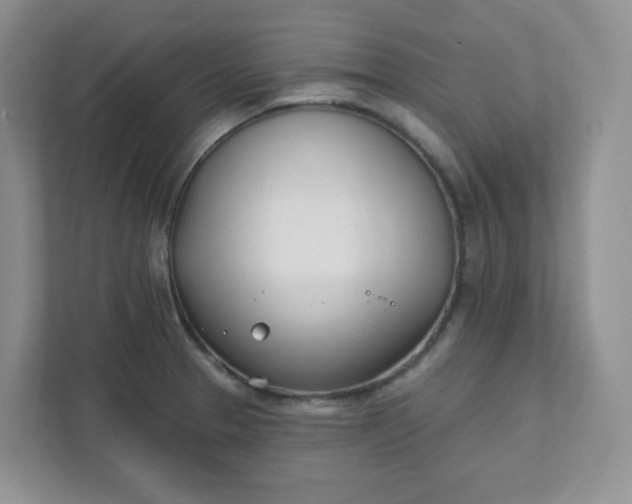 X0000111891329200908061326