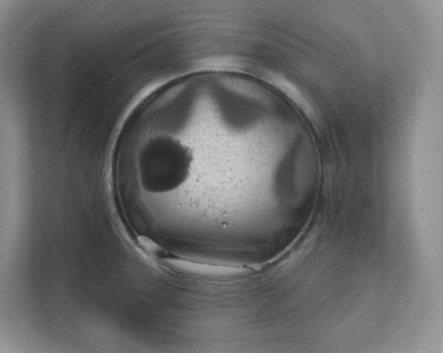 X0000111891331200908061326