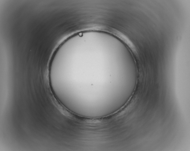 X0000111891332200908061326