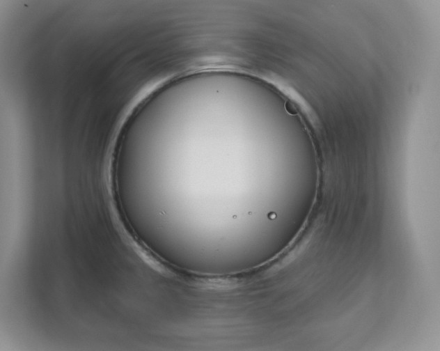 X0000111891333200908061326