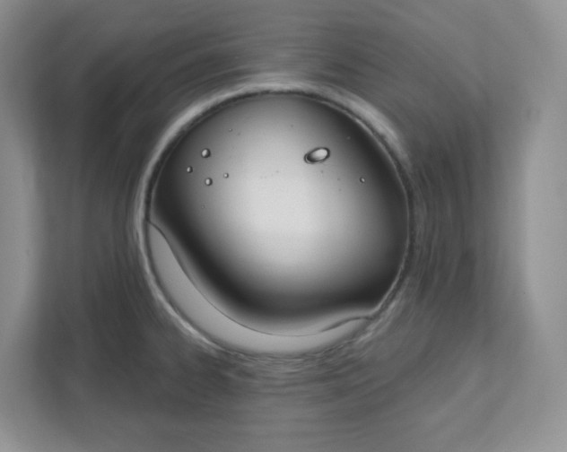 X0000111891334200908061326