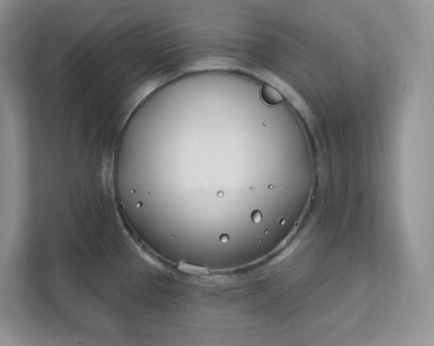 X0000111891337200908061326