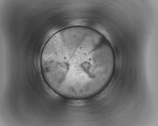 X0000111891338200908061326