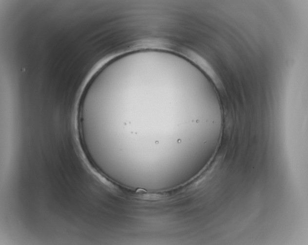 X0000111891339200908061326