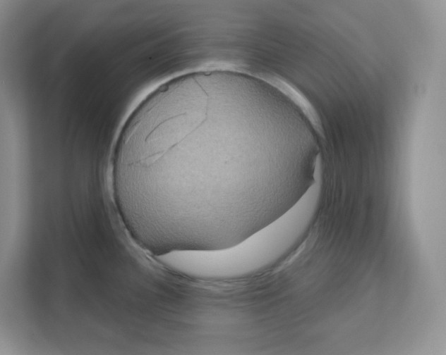 X0000111891340200908061326