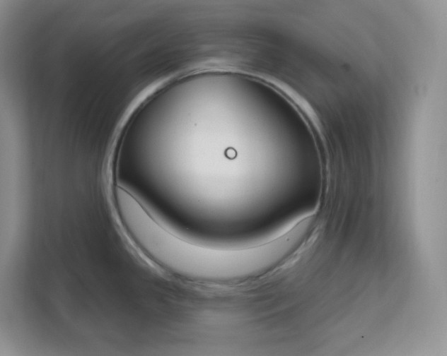 X0000111891341200908061326