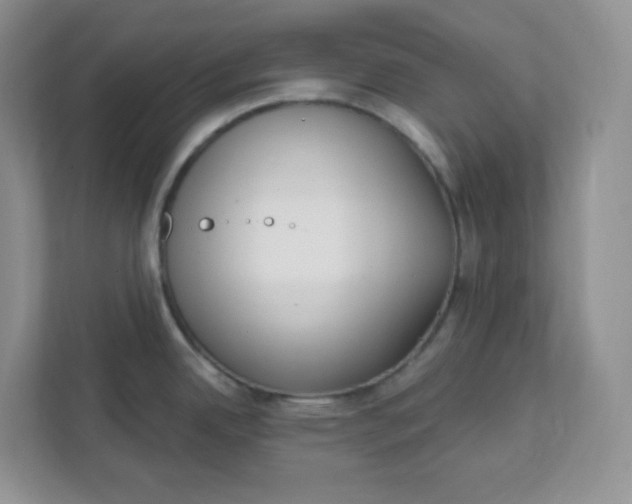 X0000111891342200908061326