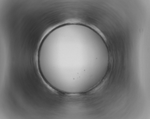 X0000111891343200908061326