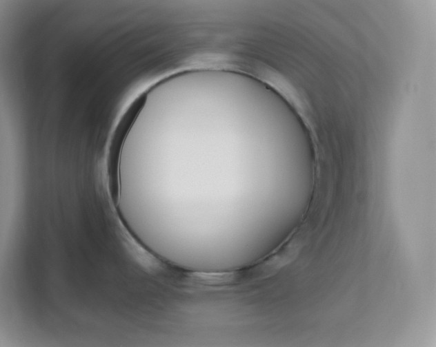 X0000111891344200908061326