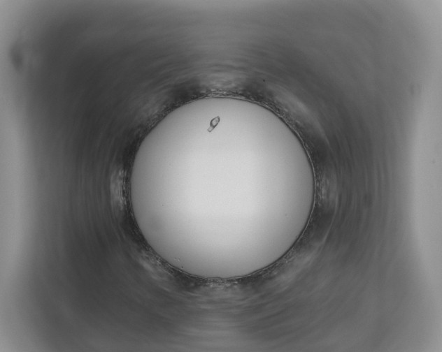 X0000111891346200908061326