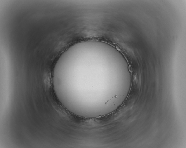 X0000111891348200908061326