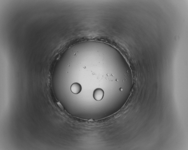 X0000111891349200908061326