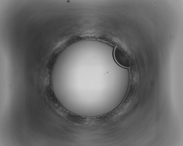 X0000111891350200908061326