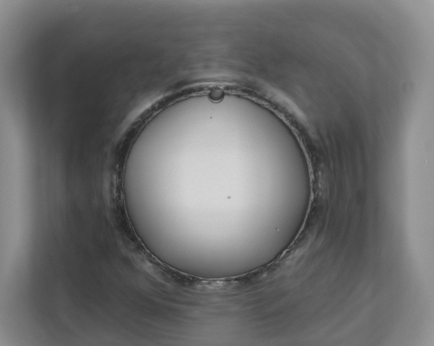 X0000111891352200908061326