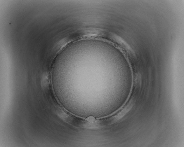 X0000111891353200908061325