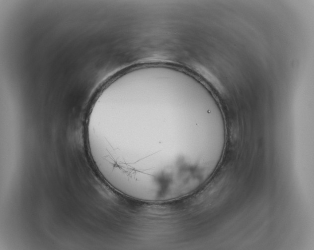 X0000111891356200908061325