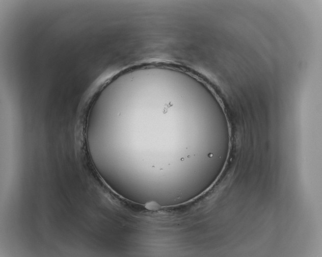 X0000111891359200908061325