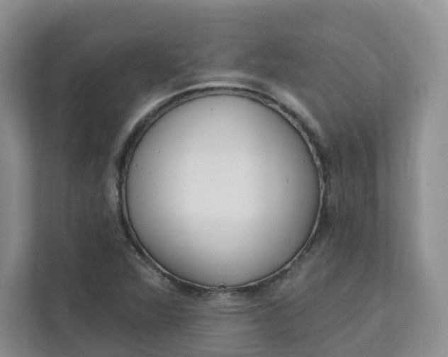 X0000111891360200908061325