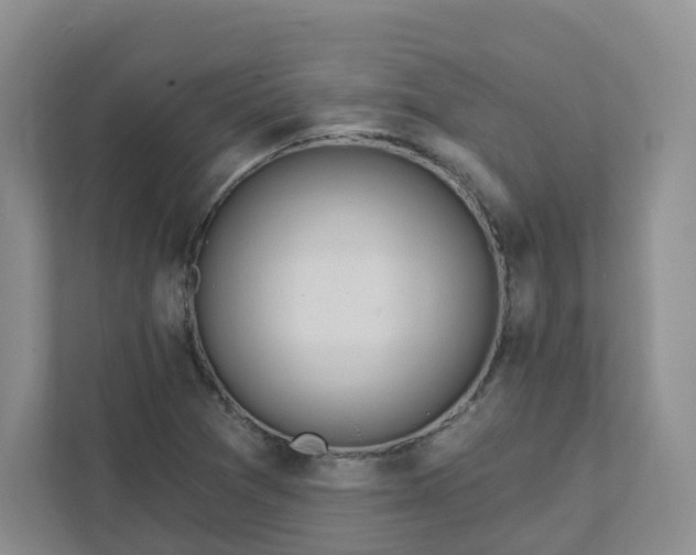 X0000111891361200908061325