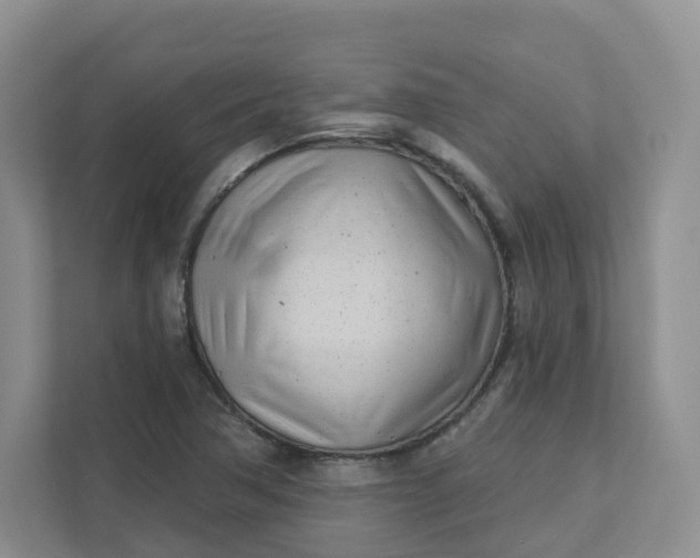 X0000111891362200908061325