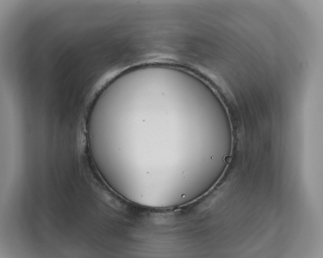 X0000111891363200908061325