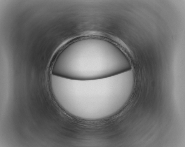 X0000111891364200908061325