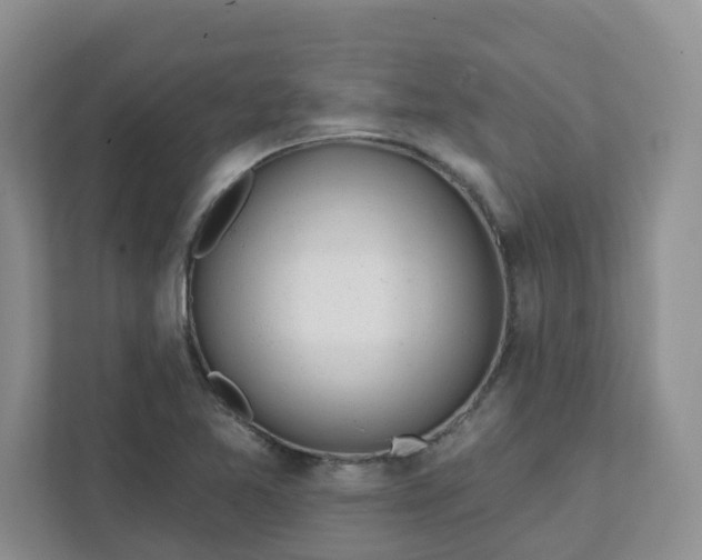 X0000111891365200908061325