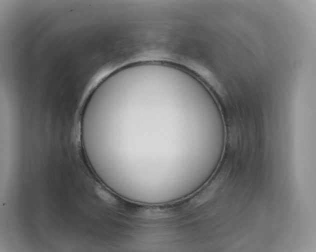 X0000111891366200908061325