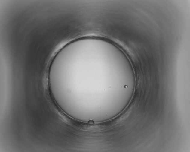 X0000111891367200908061325