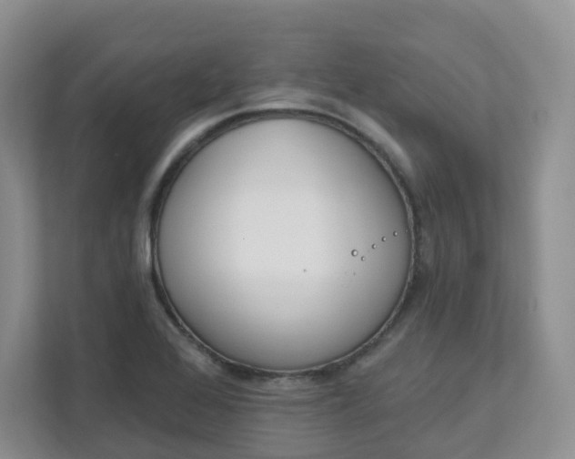 X0000111891368200908061325