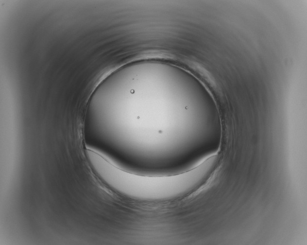 X0000111891369200908061325