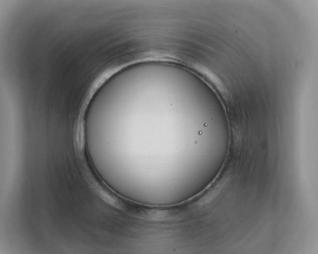 X0000111891371200908061325