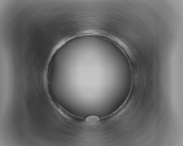 X0000111891373200908061325