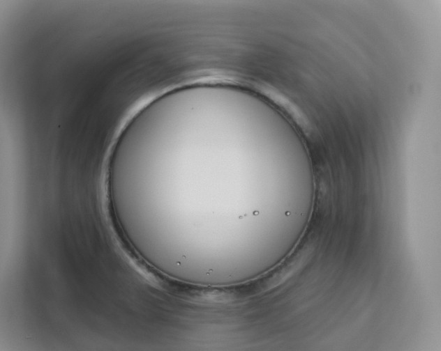 X0000111891375200908061325