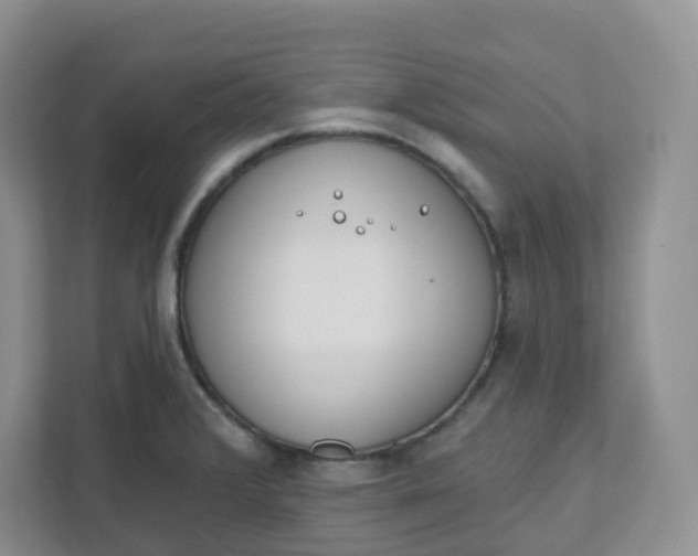 X0000111891376200908061325