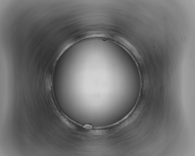 X0000111891377200908061325