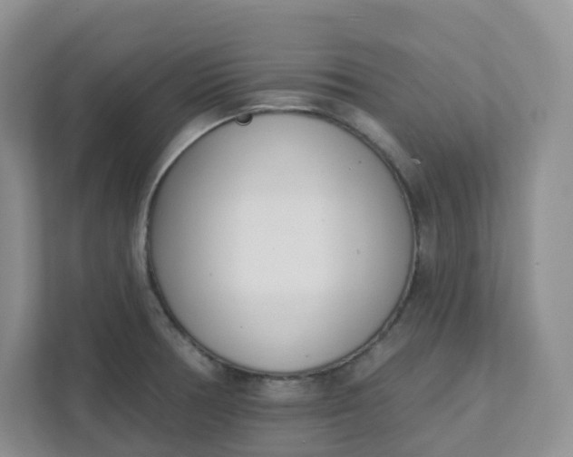 X0000111891378200908061325